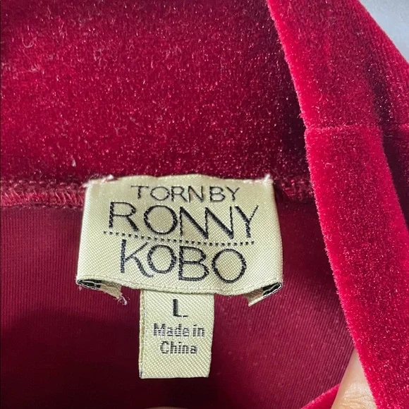Torn by Ronny Kobo Crimson Velvet Blouse - Picture 9 of 13